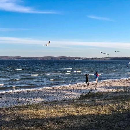 Seestern Holnishof